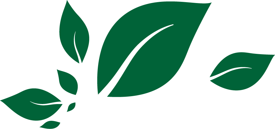 comptoir_vert_feuilles_vertes_900